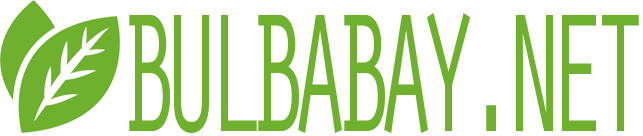 Bulbabay.net